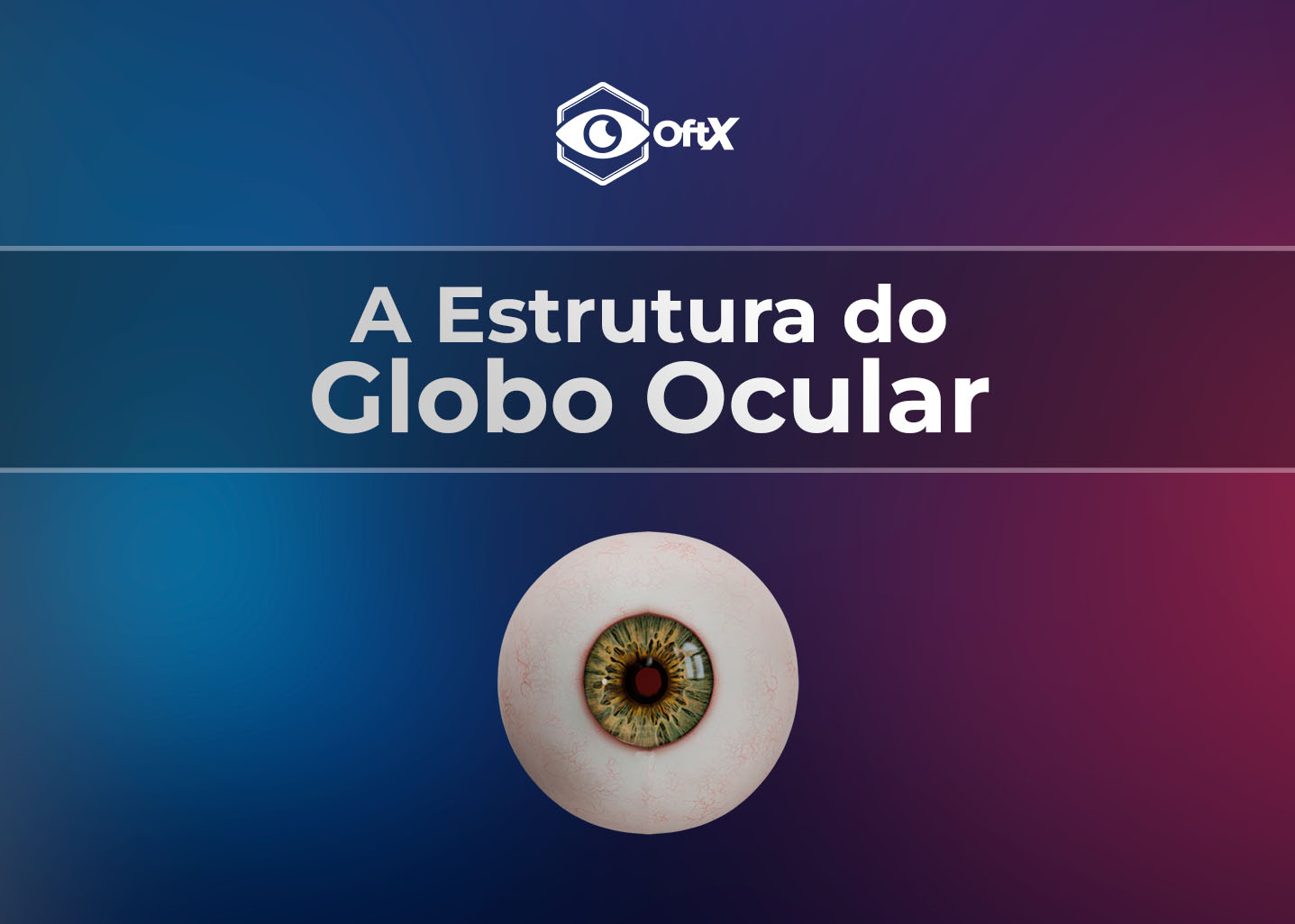 A Estrutura do Globo Ocular
